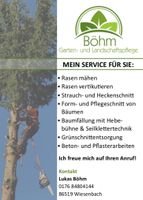 Rasensaat Grundstückspflege  Mulchen Rasenmähen Betriebspflege Bayern - Wiesenbach Vorschau