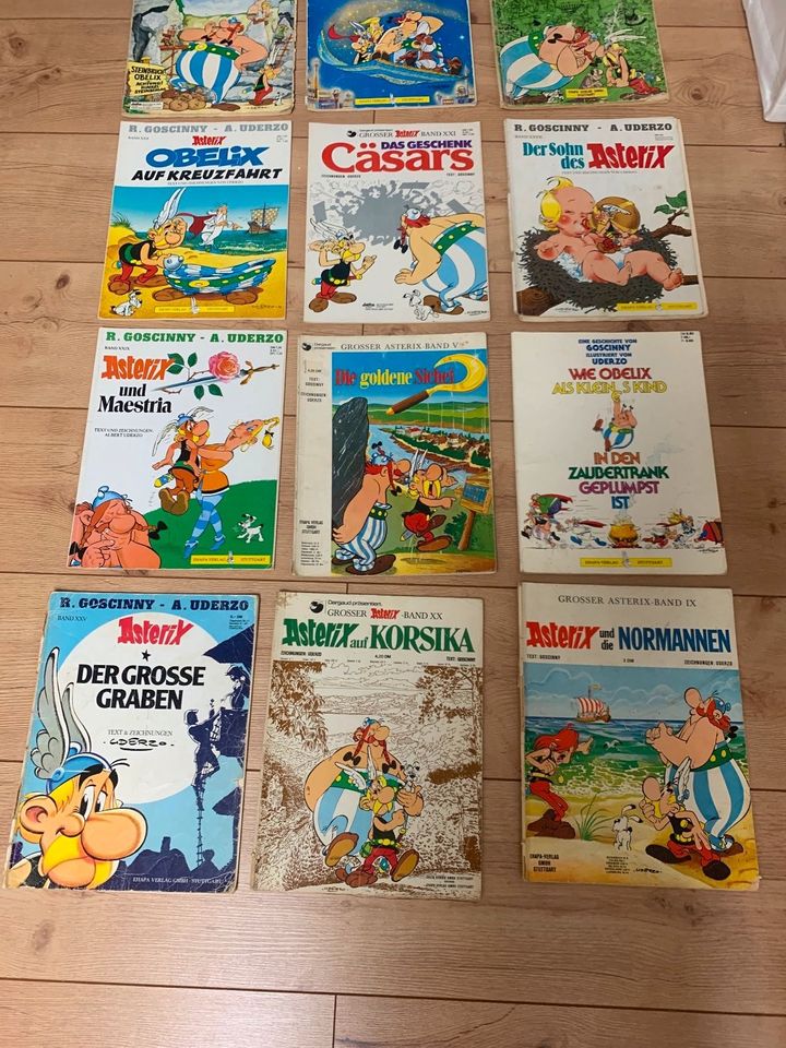 Asterix und Obelix Hefte z.T. Erstausgaben 11 Stück Comic in Rodenbach