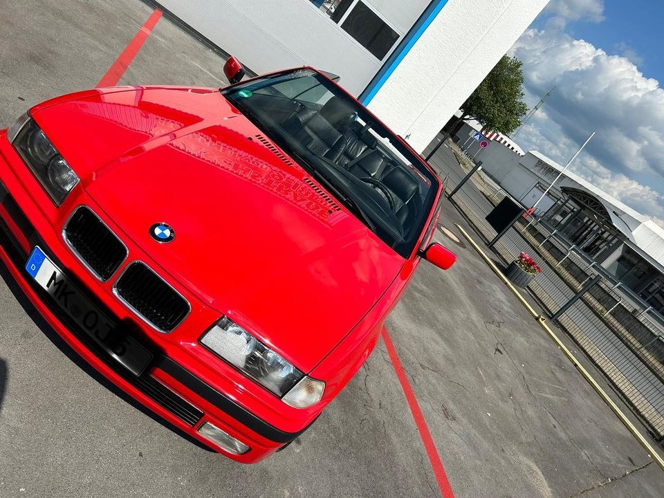 BMW 318 Cabrio in Menden