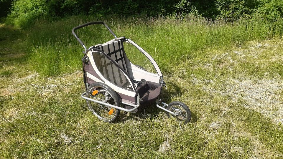 Fahrradanhänger für Kinder / Buggy in Petershagen