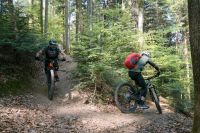 Bollenhut-(E)-MTB Fahrtechnikkurs Level 2 Baden-Württemberg - Glottertal Vorschau