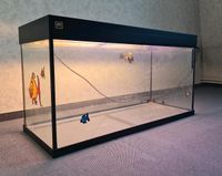 Juwel Aquarium / Hamster Gehege Kreis Pinneberg - Rellingen Vorschau