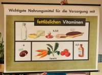 Poster Lehrtafel Schulwandbild Unterrichtsmittel Ernährungslehre Bremen - Horn Vorschau