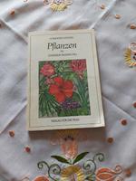 Pflanzen in unserer  Wohnung,  Verlag für die Frau  DDR Sachsen - Arnsdorf Vorschau