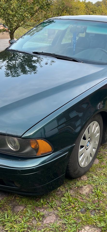 BMW e39 limo Oxfordgrün teile in Kläden