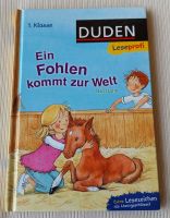 Kinderbuch "Ein Fohlen kommt zur Welt", DUDEN Leseprofi Hessen - Runkel Vorschau