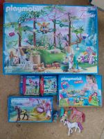 PLAYMOBIL FAIRIES SET mit 9132, 9330, 9136, 70417, 70379, FEEN un Hessen - Homberg Vorschau