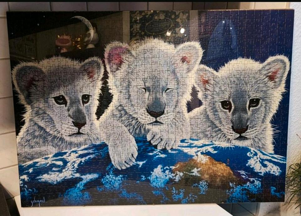 Ravensburger Puzzle Star Line, 1000 Teile, 3 weiße Tigerbabys in Riesa