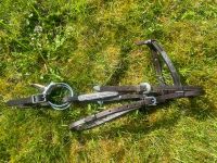 Showbridle m. Snaffle und Kinnriemen, Westerntrense Nordrhein-Westfalen - Mönchengladbach Vorschau