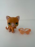 Littlest Pet Shop Katze #11 Spielfigur LPS Sammelfigur Hessen - Hanau Vorschau