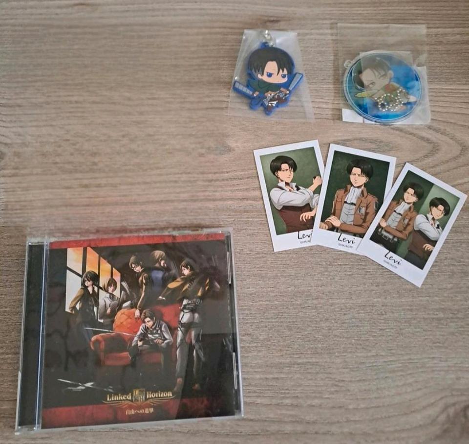 Attack on the Figuren acryl Aufsteller hanji levi erwin eren in Haselünne