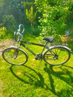 Trekking Fahrrad Blackshox Harburg - Hamburg Heimfeld Vorschau