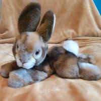 Steiff Hase Putsi liegend Baden-Württemberg - Aalen Vorschau