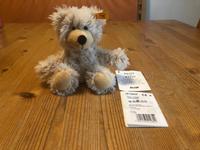 NEU!!!  Steiff Teddy Charly 16 cm (Schlenkerteddy) Bayern - Weichs Vorschau