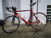 Koga Miyata Rennrad // Carbon Gabel //Shimano 105 Friedrichshain-Kreuzberg - Kreuzberg Vorschau