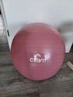 Gymnastikball ROSA 65 cm Brandenburg - Hoppegarten Vorschau