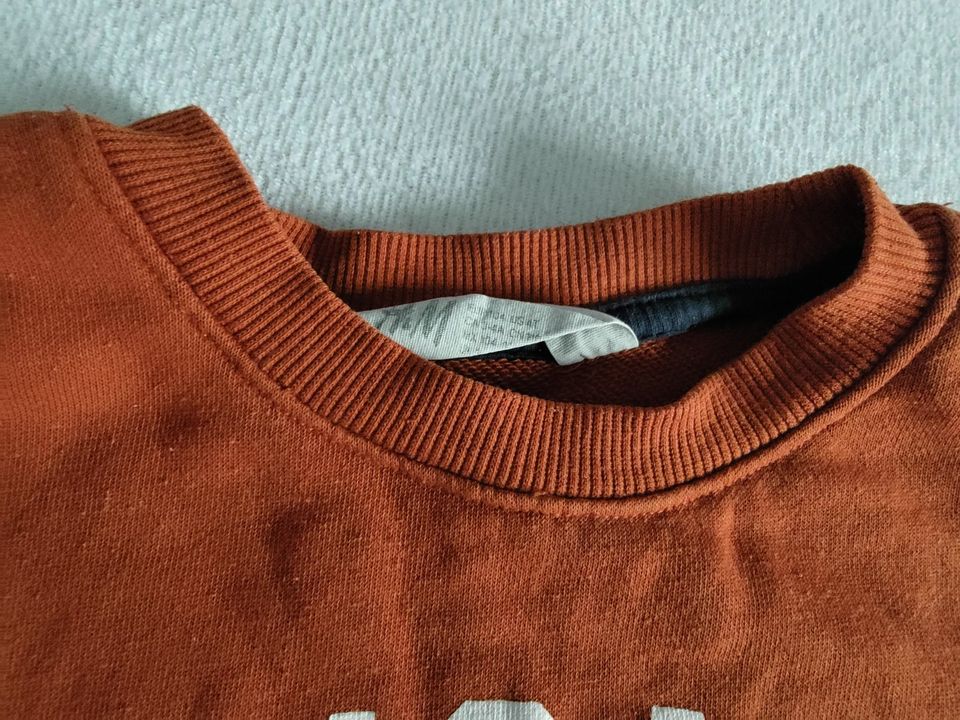 5 Pullover Grösse 104 H&M Palomino Pusblu Nova Star in Bellheim