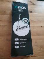 QKids Flo Roller Scooter Kinder ab 3 Jahren Bayern - Brannenburg Vorschau