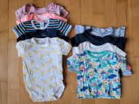 Baby Kurzarm Body T-Shirts 50/56 Leipzig - Schleußig Vorschau