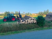 Holzernte, Rücken, Durchforstung, Pflanzen, Pflege, Brennholz Bayern - Kirchberg i. Wald Vorschau