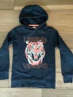 Pullover Hoodie vingino Gr.152 Wandsbek - Hamburg Bergstedt Vorschau