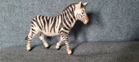 Schleich Zebra Lindenthal - Köln Sülz Vorschau