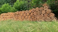 Brennholz gemischt Baden-Württemberg - Seebach Vorschau