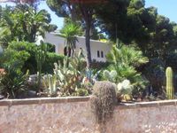 Mallorca, Cala Ratjada, Nähe Leuchtturm mit Meerblick,Ostern frei Nordrhein-Westfalen - Gummersbach Vorschau