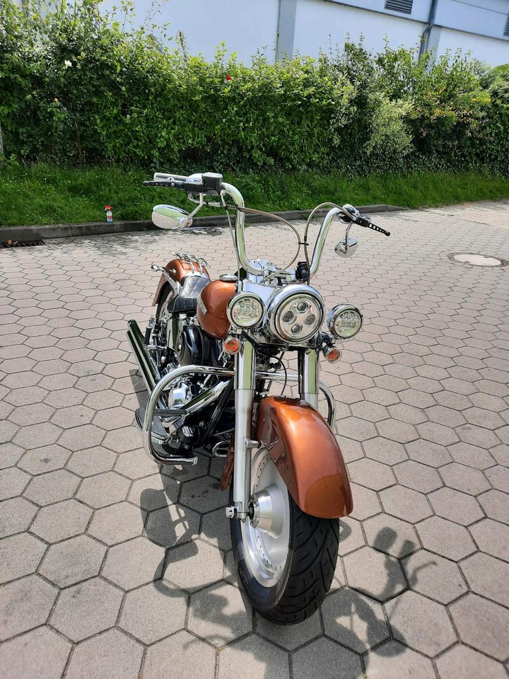 Harley Davidson softail in Hamburg