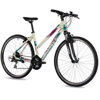 Trekking Fahrrad 28 Zoll Cross Sintero Shimano Acera 24 RD-M360L Berlin - Reinickendorf Vorschau