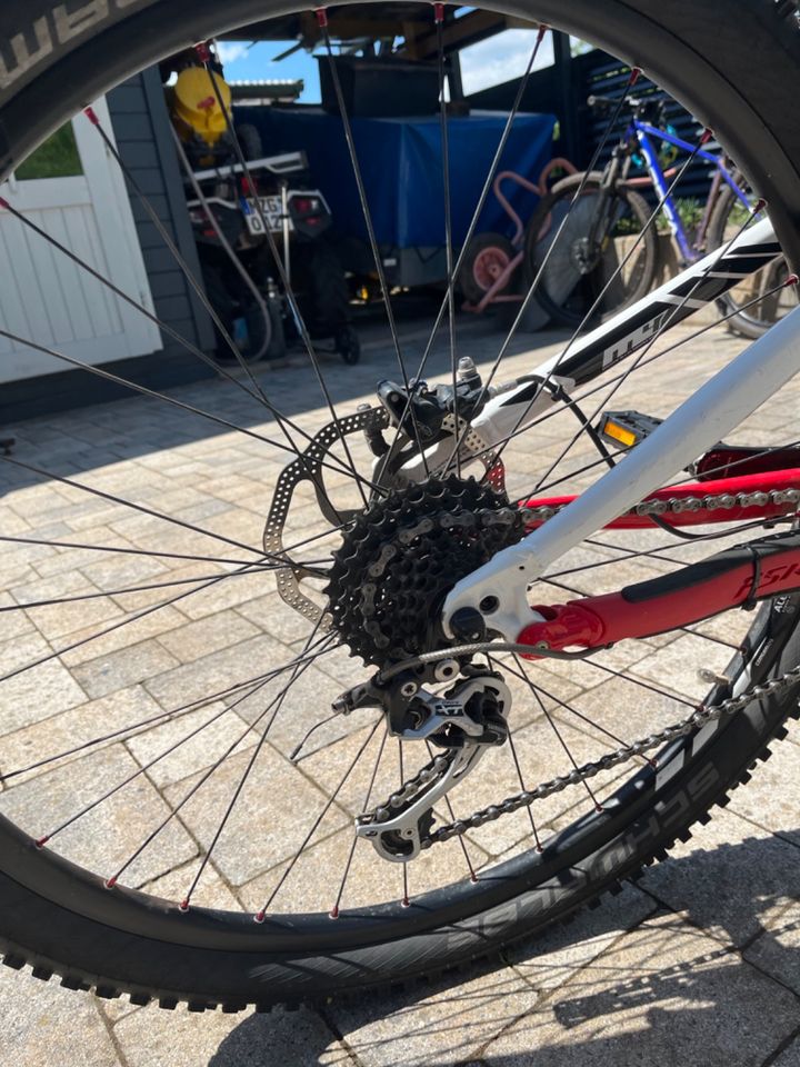 Specialized Fully in Losheim am See