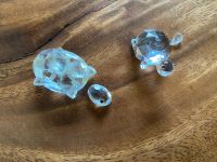 2 Kristallfiguren gr+kl Schildkröte Ersatzteile, Swarovski Glas? Niedersachsen - Oldenburg Vorschau