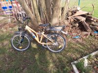 Kinder Mountenbike 20 Zoll Hessen - Waldeck Vorschau