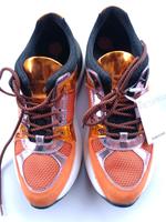 Geox Sneaker Nordrhein-Westfalen - Welver Vorschau