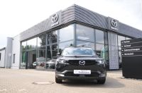 Mazda MX-30 Basis | Ad´vantage-Paket | Head-up | RFK Nordrhein-Westfalen - Bottrop Vorschau