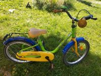 Kinderfahrrad Delphin grün 18 Zoll Sachsen - Schkeuditz Vorschau