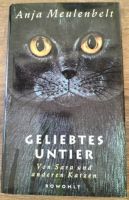 Geliebtes Untier - Von Sara und anderen Katzen - Anja Meulenbelt München - Maxvorstadt Vorschau