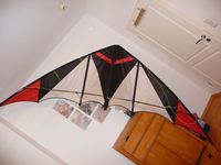 Großer Power Speed Kite Lenkdrachen Maniac XXL 3,30 m *NEU Hessen - Wehrheim Vorschau