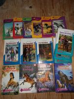 Pferde Bücher/ Romane Ponyclub, Pennygirl, Penny Niedersachsen - Neukamperfehn Vorschau