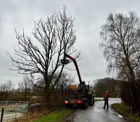 Hecken, Sträucher und Bäume Schneiden und Entsorgen. Fällgreifer Schleswig-Holstein - Ahlefeld-Bistensee Vorschau