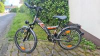 Pegasus Kinderfahrrad 20 Zoll Nordrhein-Westfalen - Schalksmühle Vorschau