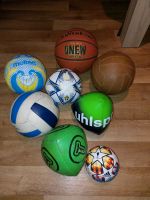 Volleyball Fussball Basketball Sachsen - Riesa Vorschau