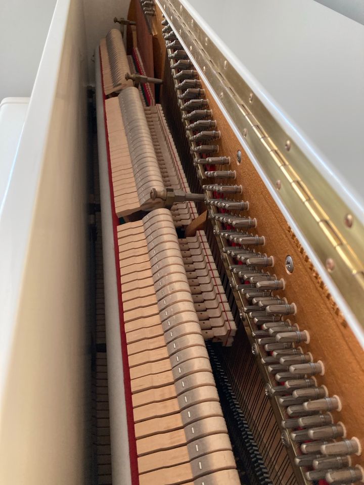 Grotrian-Steinweg 122V Klavier in Flensburg