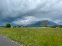 Wiese - landwirtschaftliche Fläche Bayern - Schöllkrippen Vorschau