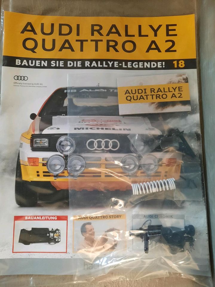 Hachette Audi Quattro 1:8 Bausatz in Wetter (Hessen)