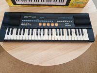 Electronic Keyboard Angeltone DM-380 Stuttgart - Zuffenhausen Vorschau