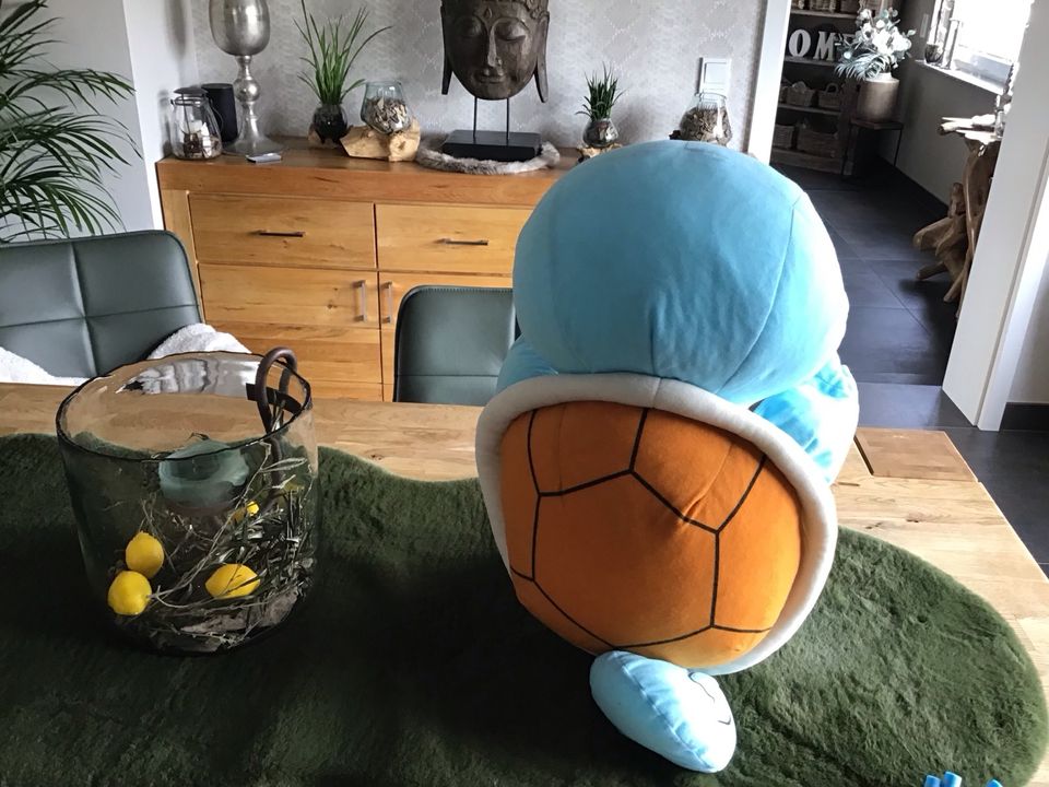 Pokémon Kuscheltier in Lebach