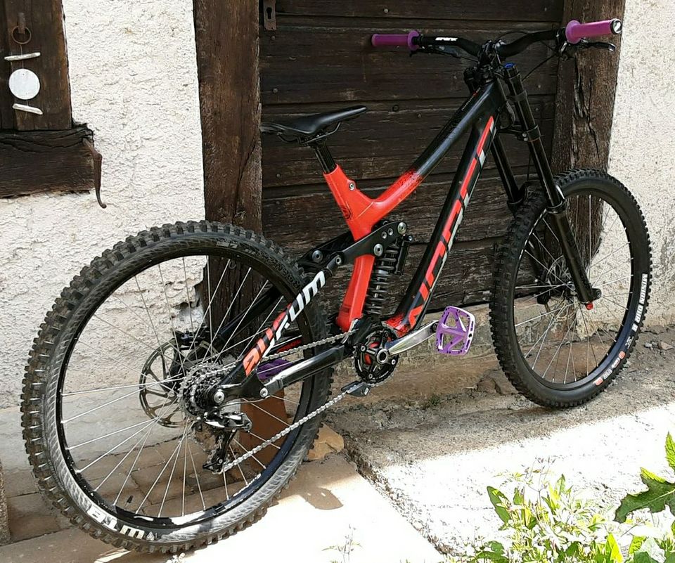 Norco Aurum Carbon DH in Efringen-Kirchen