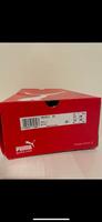 Puma Schuhe komplett neu Baden-Württemberg - Reutlingen Vorschau