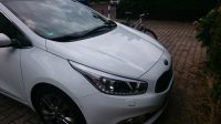 Kia Ceed 1.6 CRDI 128 Ps Top gepflegt Nordrhein-Westfalen - Ahlen Vorschau